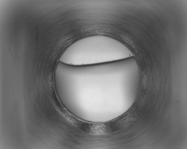 X0000058760410200509300819