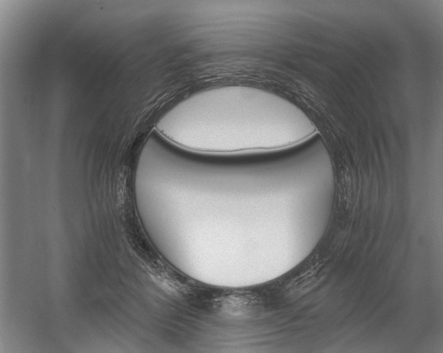 X0000058760412200509300819