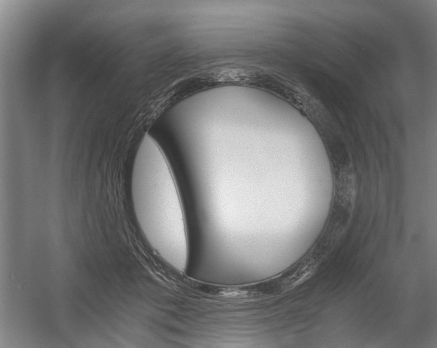 X0000058760413200509300819