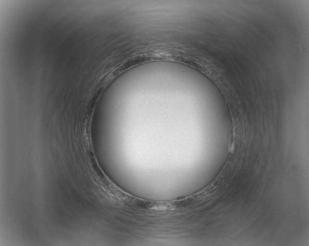 X0000058760415200509300819