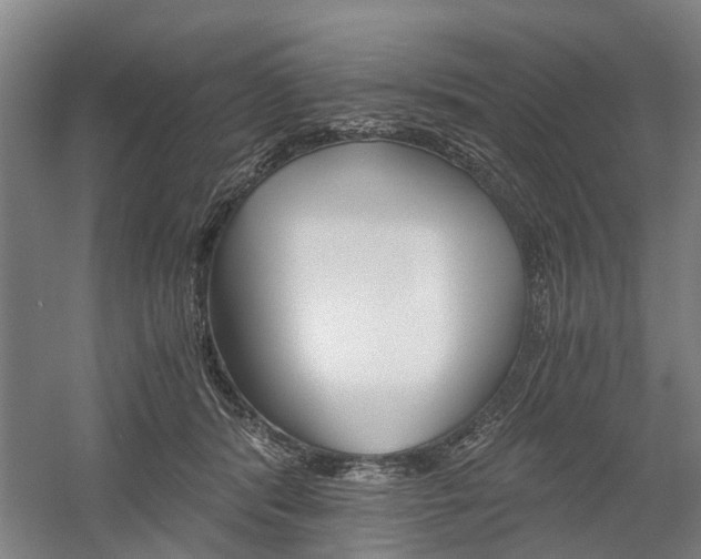 X0000058760416200509300819