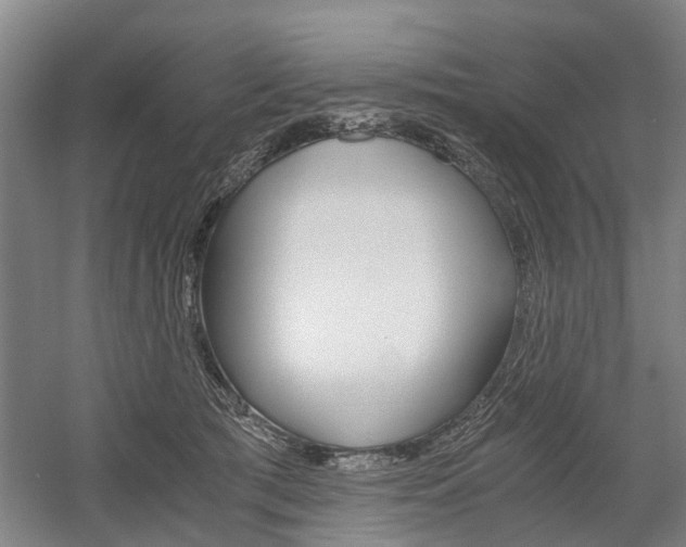 X0000058760417200509300819