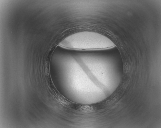 X0000058760421200509300819