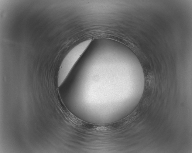 X0000058760423200509300819