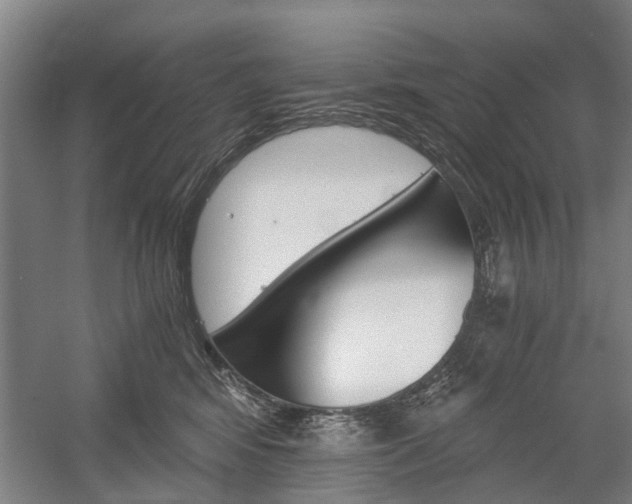 X0000058760424200509300819
