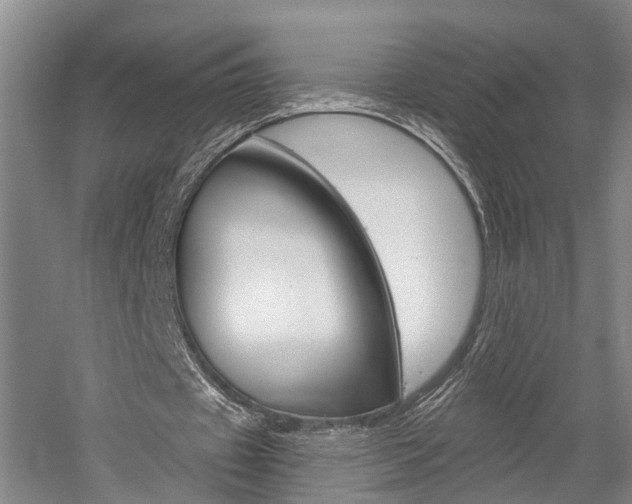 X0000058760433200509300818