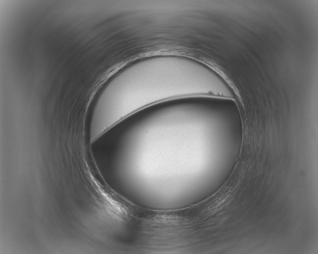 X0000058760437200509300818