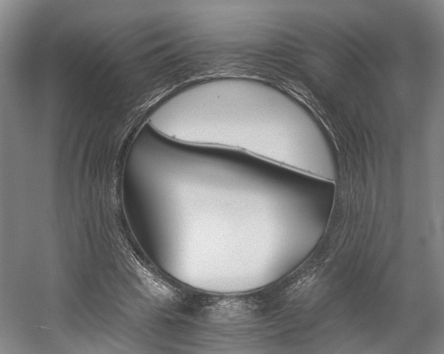 X0000058760441200509300818