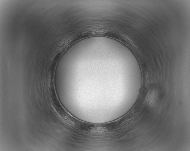 X0000058760451200509300818