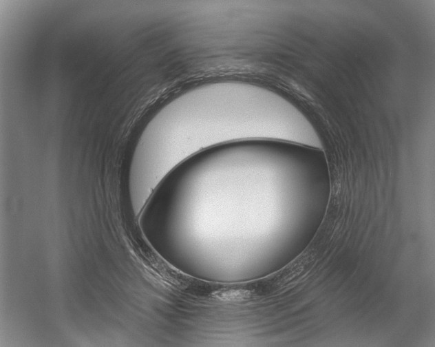 X0000058760452200509300818