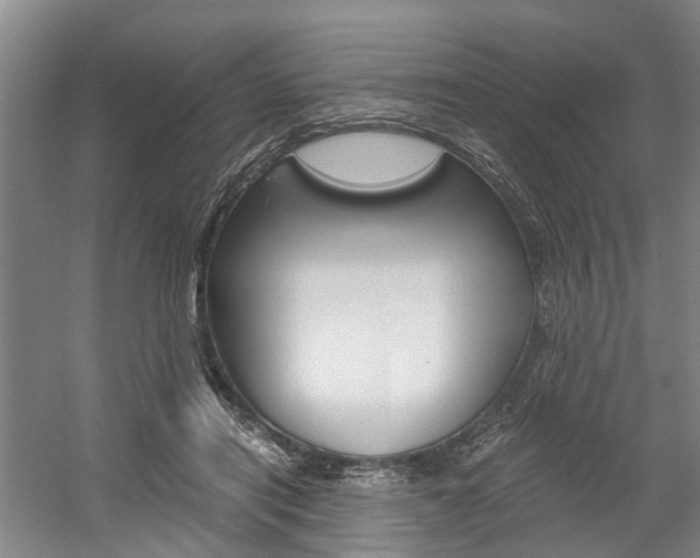 X0000058760454200509300818