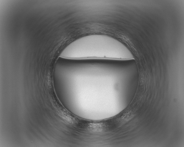 X0000058760457200509300818