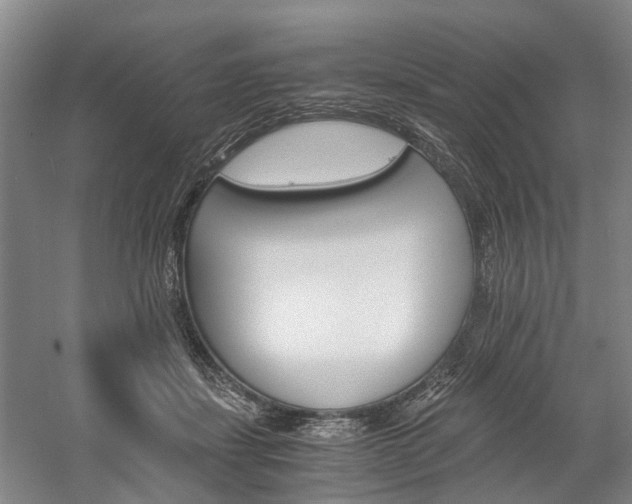 X0000058760459200509300818