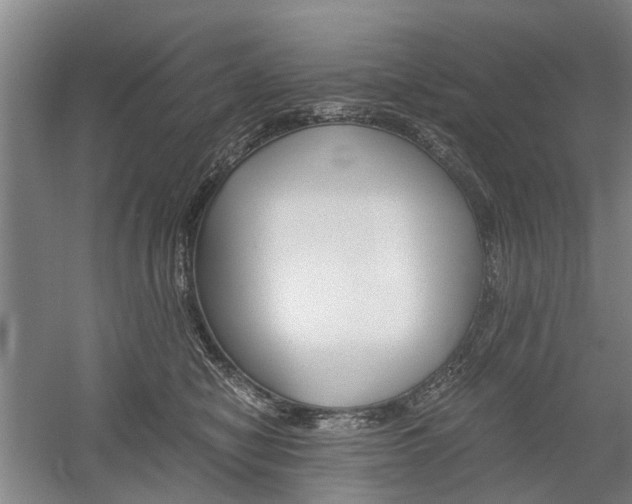 X0000058760470200509300818