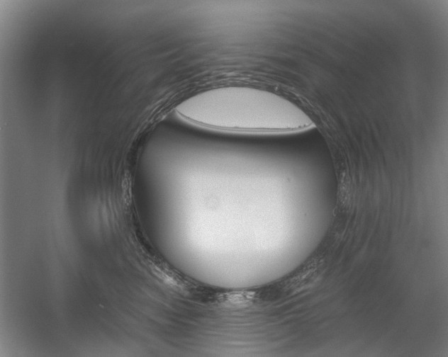 X0000058760474200509300818