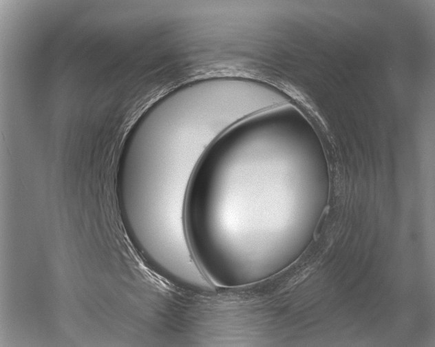 X0000058760481200509300818