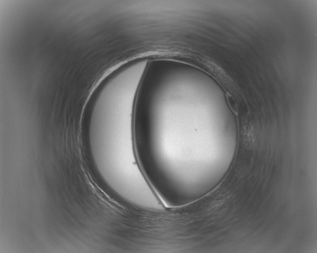 X0000058760484200509300817