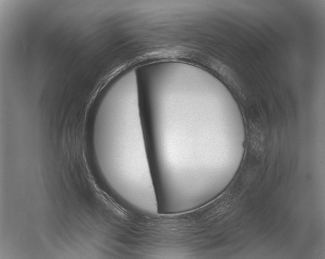 X0000058760486200509300817