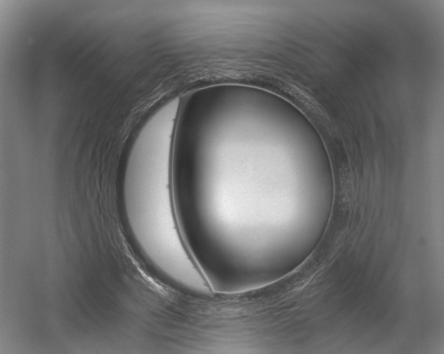 X0000058760489200509300817