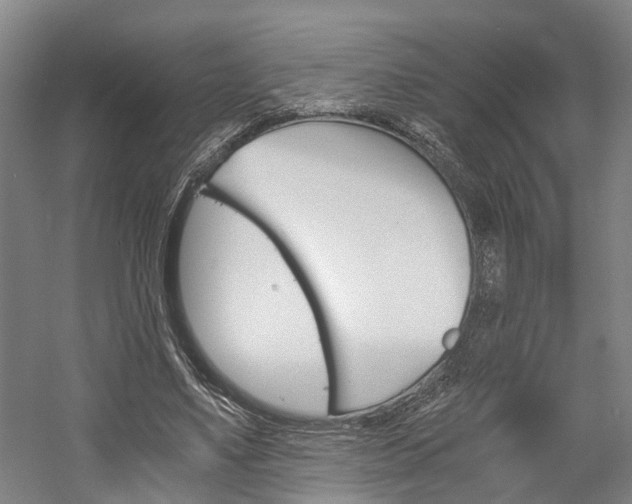 X0000058760491200509300817