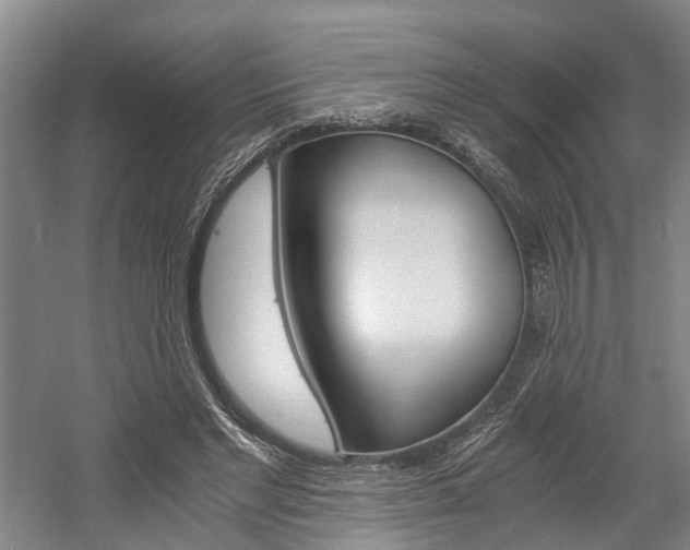 X0000058760493200509300817
