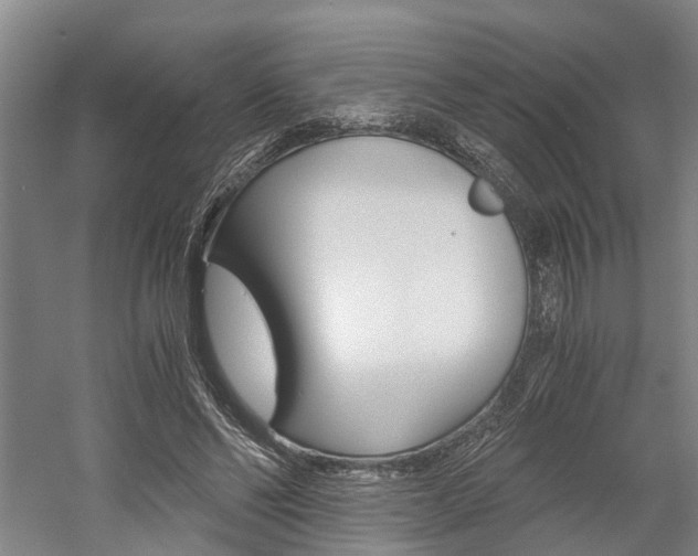 X0000058760494200509300817