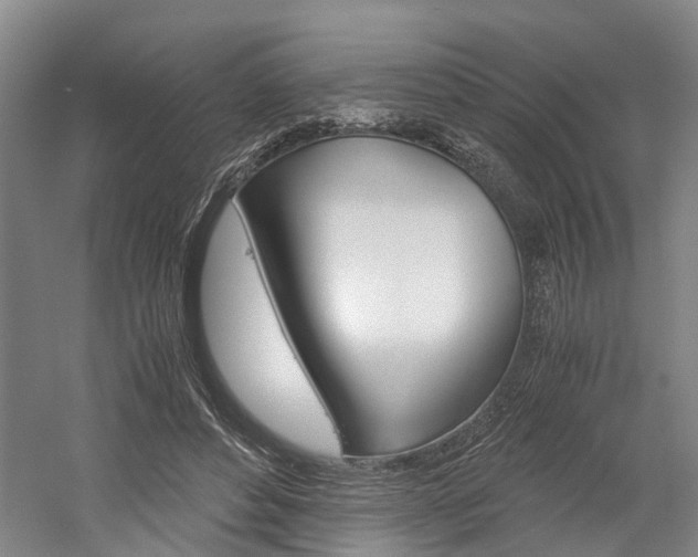 X0000058760496200509300817