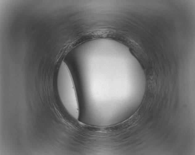 X0000058760504200509300817