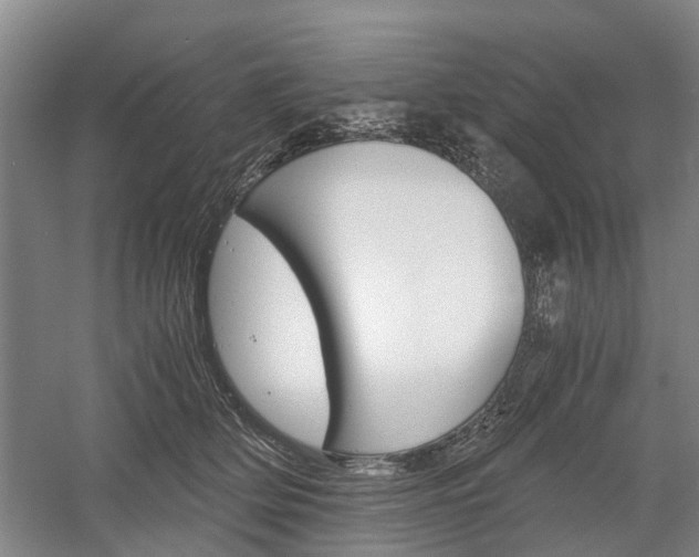 X0000058760514200509300817