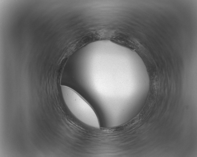 X0000058760516200509300817