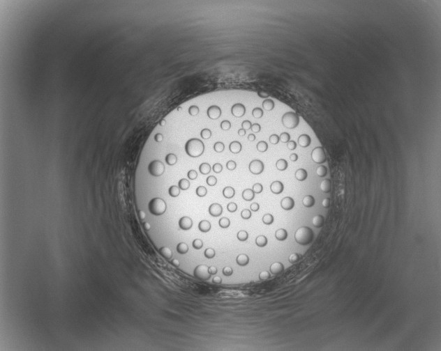 X0000058760519200509300817