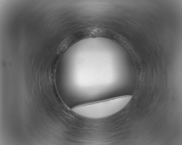 X0000058760520200509300817
