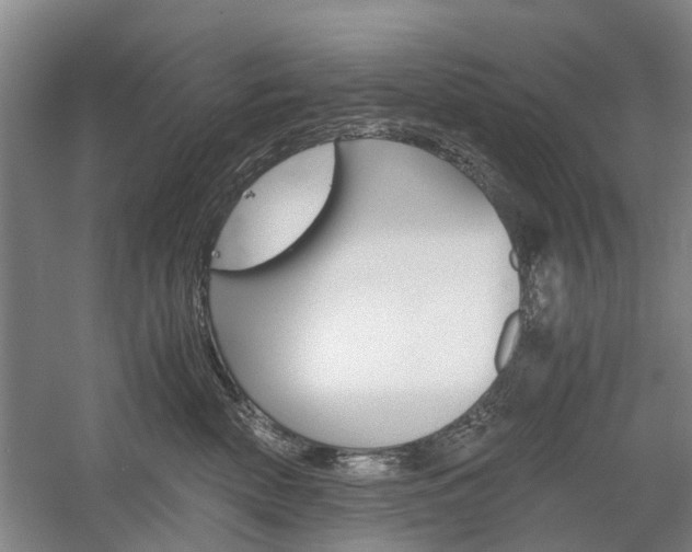 X0000058760522200509300817