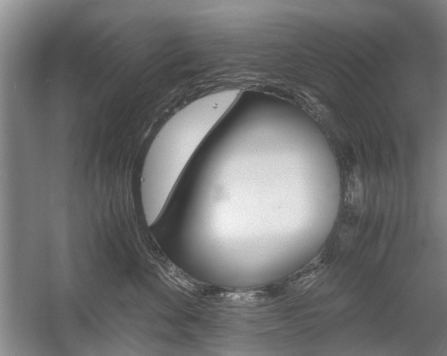 X0000058760524200509300817