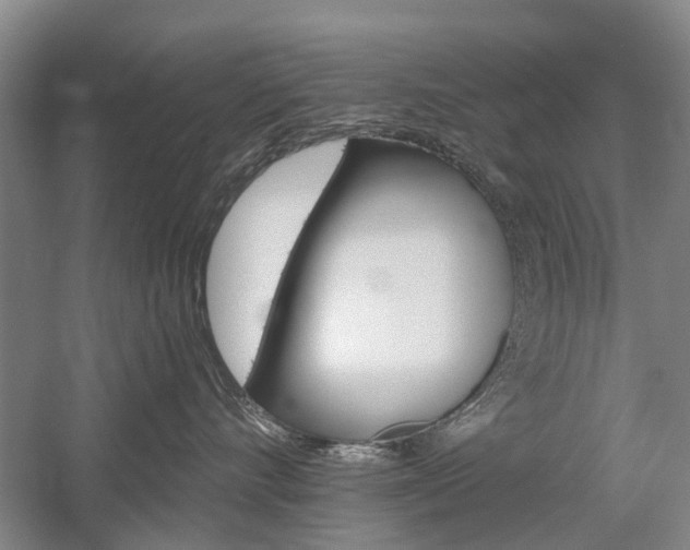 X0000058760528200509300817