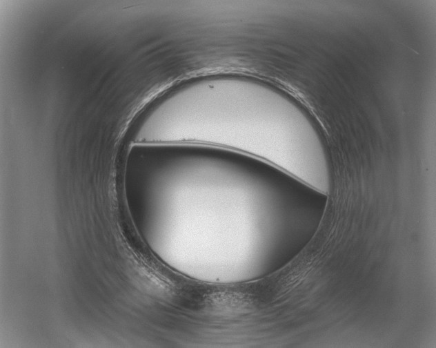 X0000058760535200509300816