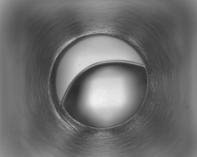 X0000058760536200509300816