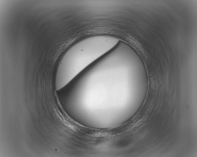 X0000058760537200509300816