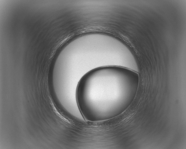 X0000058760538200509300816