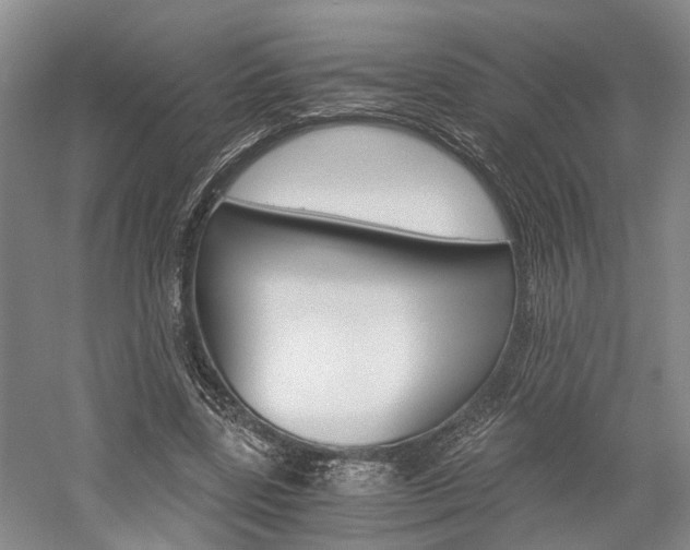 X0000058760539200509300816