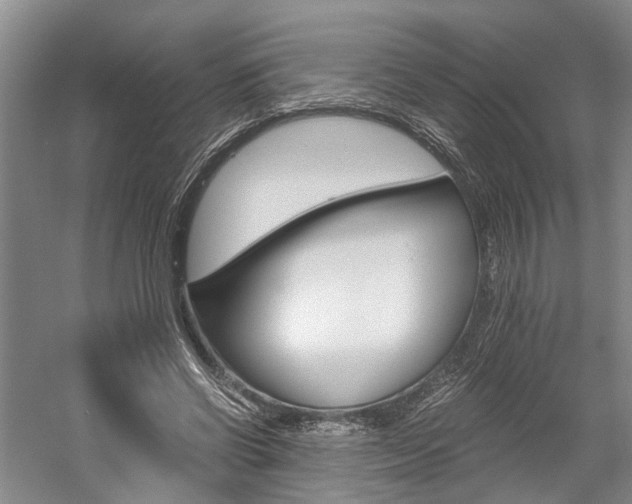 X0000058760542200509300816