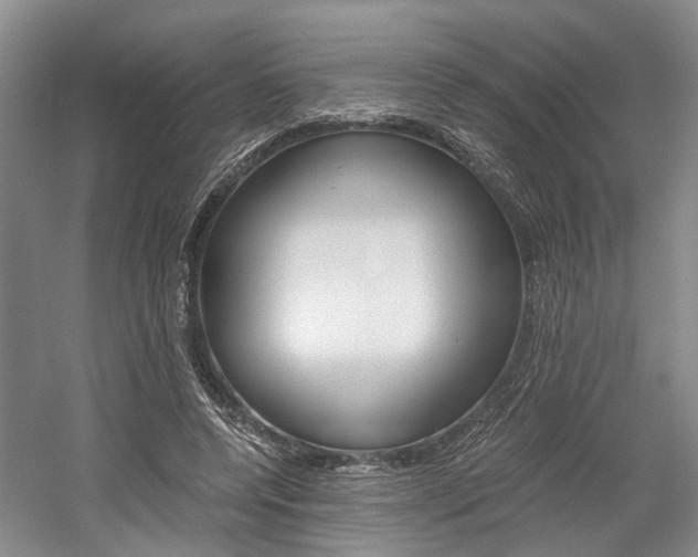 X0000058760544200509300816