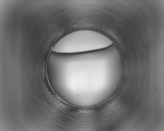 X0000058760545200509300816