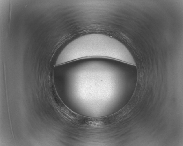 X0000058760552200509300816
