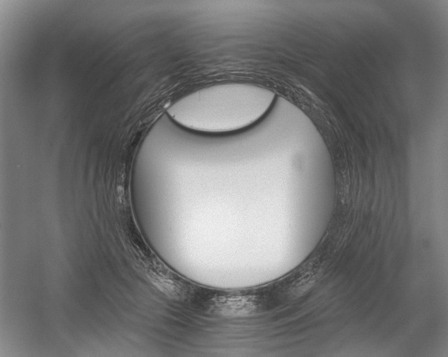 X0000058760553200509300816