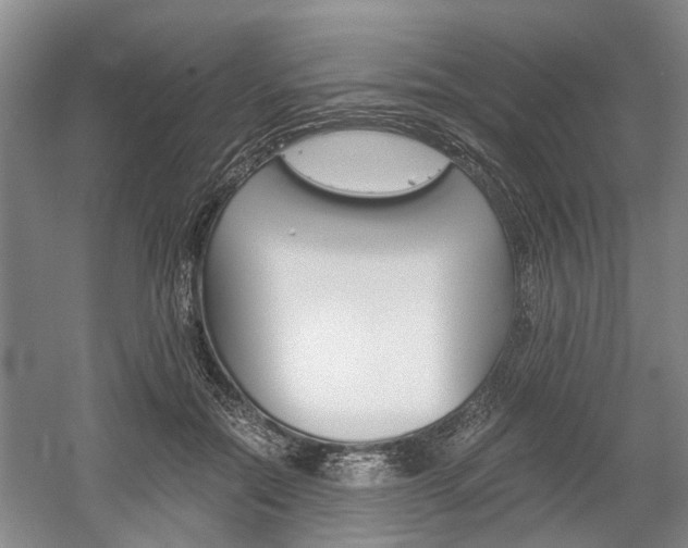 X0000058760554200509300816