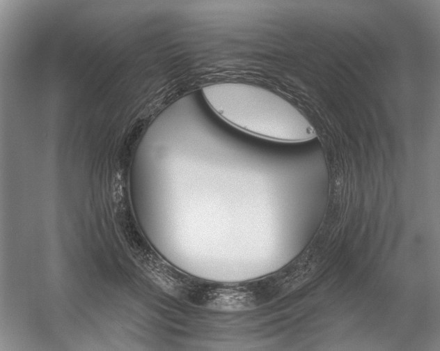 X0000058760555200509300816