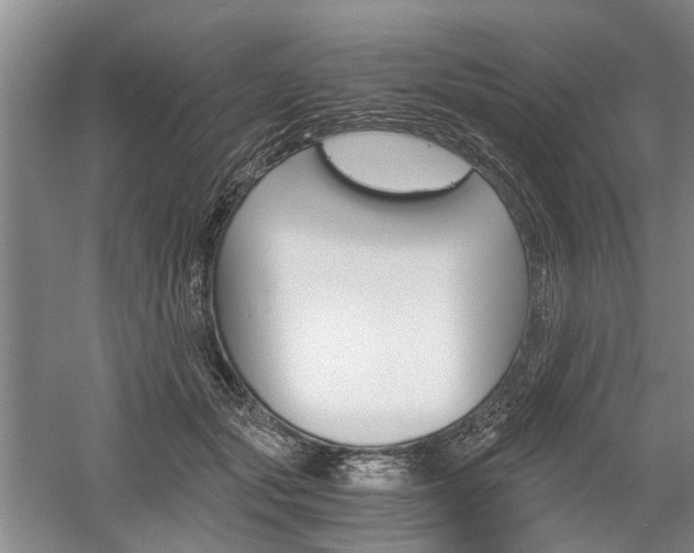 X0000058760557200509300816