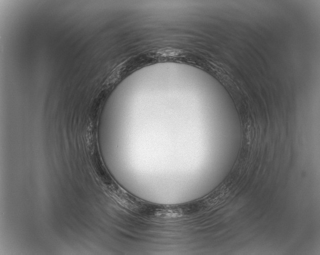 X0000058760559200509300816