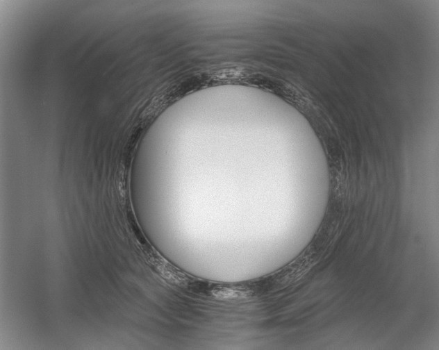 X0000058760561200509300816